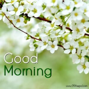GoodMorning-image-with-flowers