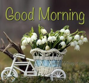 Good-Morning-beautiful-white-lillies-and-tricycle