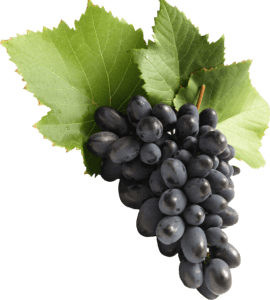 black-grapes-png-image-1