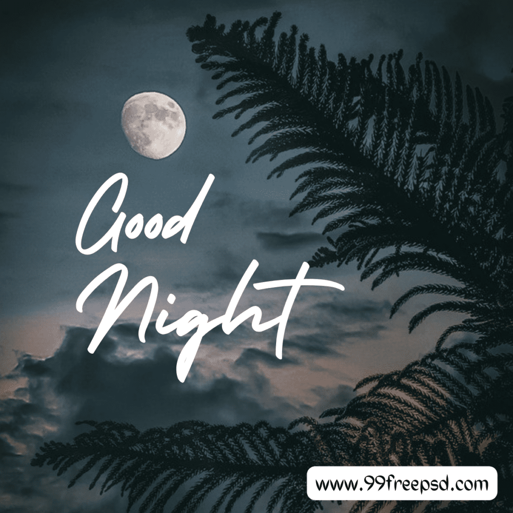Free-Good-Night-Image-With-Moon-good-night-pic-good night with moon-www.99freepsd.com