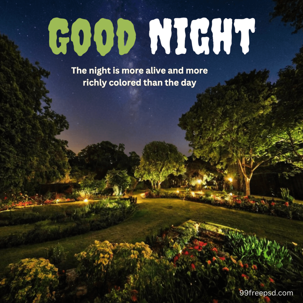 Good Night Image Free Download 99freepsd